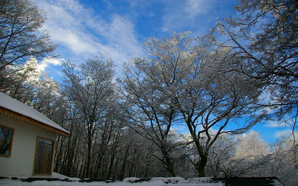 Familia Piatti B&B - Suites Ushuaia Exterior foto